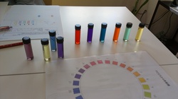 IMAG0278.jpg