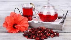hibiscus2.jpg