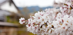 photo04.jpg